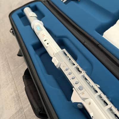 Roland Aerophone Brisa 2025 image 2