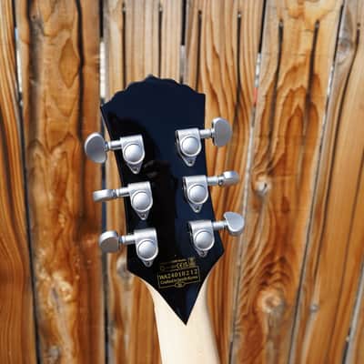 Wylde Audio IronWorks Barbarian - Black Burst 6-String Electric Guitar image 9