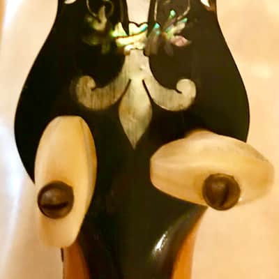 FARLAND Artist's Grand Number 2 Five String Banjo SALE PENDING DO NOT BUY image 15