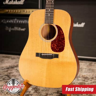 Eastman E1D Dreadnought Acoustic Guitar with Gig Bag image 1