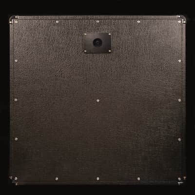 Single jack plate for Marshall cabinet image 6