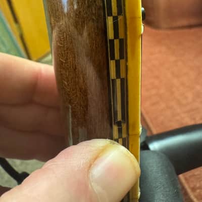 Ibanez Artist Banjo Tree of Life Model 593 1970s image 10
