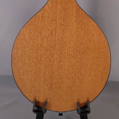 Eastman PCH-M104 Mandolin: Solid Sitka Spruce Top, Laminate Mahogany back and sides 2026 image 8