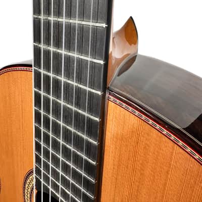 Manuel Adalid Homenaje - Cedar Double top/Solid Ziricoté back/sides - Handmade in Spain - 2025 image 21