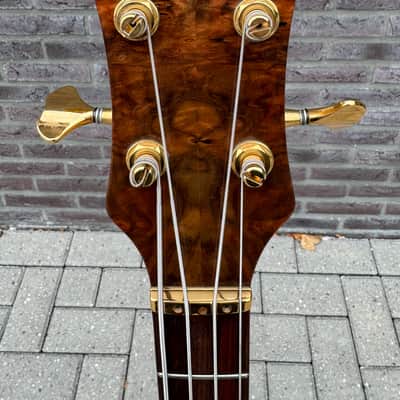 Alembic Custom EvH Signature Series II Superfilter image 6