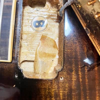 Greco SA-800 WA 1979 - Walnut Fujigen image 19