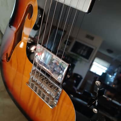 Partscaster Fender '72 Thinline Telecaster image 8