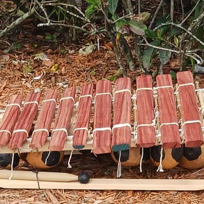 balafon/bala/balan/balani (West African-style gourd resonated xylophone) image 3