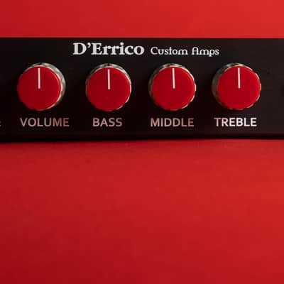 D'Errico Custom VK-R2 preamp (Alembic F2B) STEREO - point to point image 16