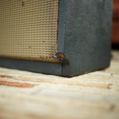 Epiphone EA-28 RVT Pathfinder 1962 image 8