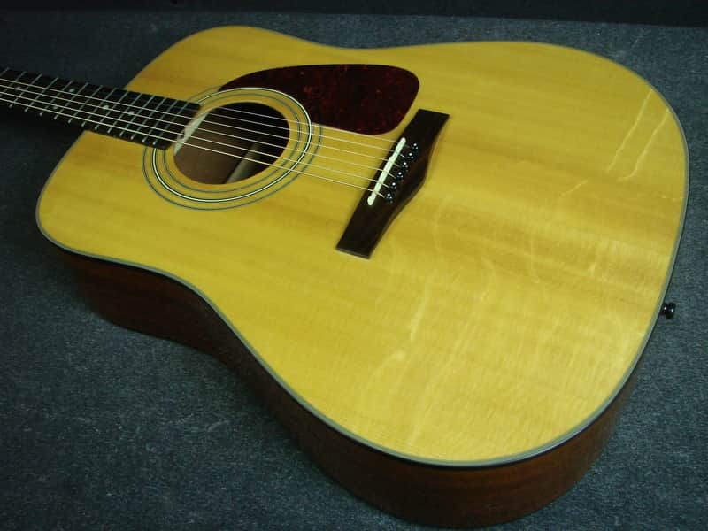 Fender DG-20S Dreadnought Acoustic Guitar W/Case DG20S | Reverb