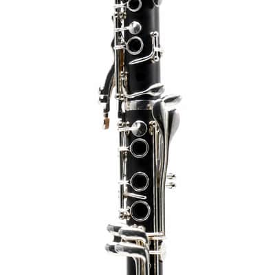 Backun BCLBPROTG-SK 'Protégé' Intermediate Bb Clarinet in Grenadilla SN PZ-10015 image 9