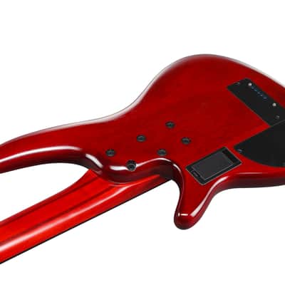 Ibanez Bass Workshop SRD905F Fretless 5-String Bass - Brown Topaz Burst image 7
