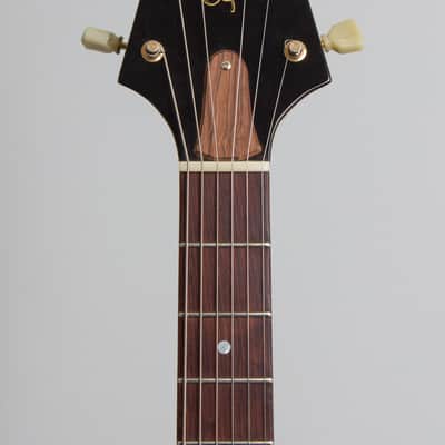 Echopark  Albert 58 Flying V Solid Body Electric Guitar (2017), ser. #XX-020/EL-1370, original brown tolex hard shell case. image 5