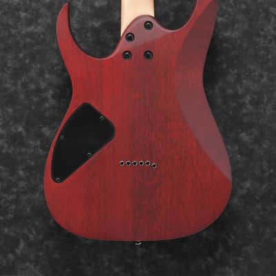 Ibanez RG421PB-CHF RG Series Electric Guitar Caribbean Shoreline Flat with Free Setup image 4