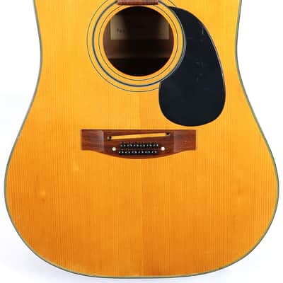 Vintage Tokai Gakki Japan DM12-5 12-string Acoustic Guitar Project image 1