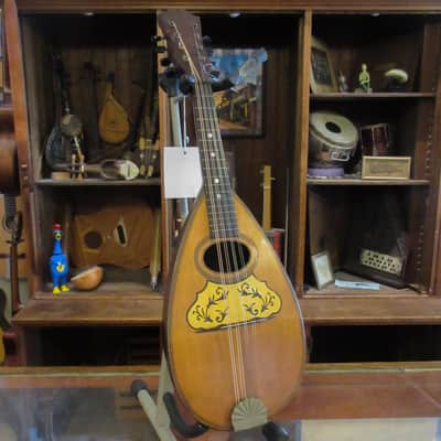 Unlabeled Bowlback Mandolin Early 1900's image 2