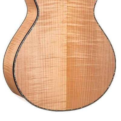 Cort Gold-Passion Natural Gloss w/Case image 3