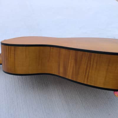 Tiger Maple Top Resonator Dobro Guitar DIY Project, Rosewood Fingerboard Neck image 8