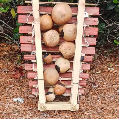 balafon/bala/balan/balani (West African-style gourd resonated xylophone) image 6