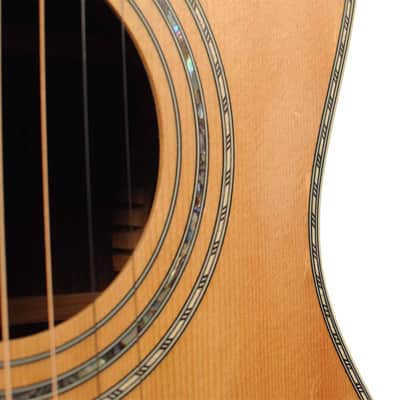Washburn R320 SWRK Parlor Acoustic Guitar w/Case USED image 6
