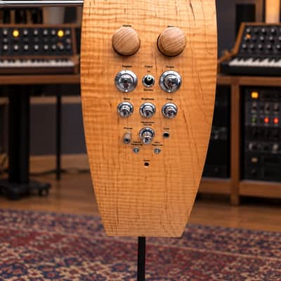 Immagine Moog Etherwave Pro Theremin – 50th Anniversary 2004 - Birdseye Maple / Natural Wood - 2