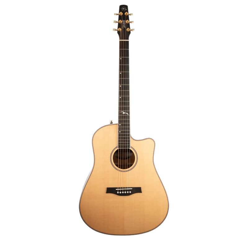 Seagull Artist Mosaic CW HG Anthem EQ image 1