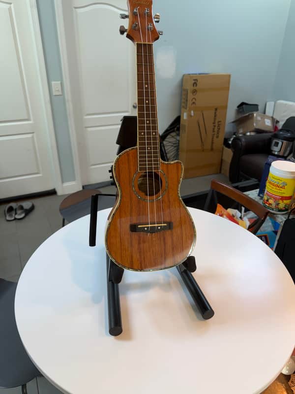 Mitchell MU100CE - Gloss Finish image 1