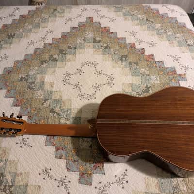 Michael Thames Classical 2022 - French Polish, Visesnut Case image 4