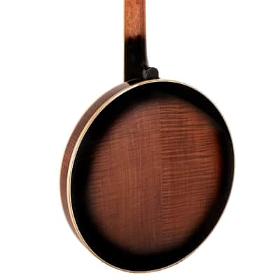 Gold Tone OB-250: Lightweight Orange Blossom Banjo with Case image 15
