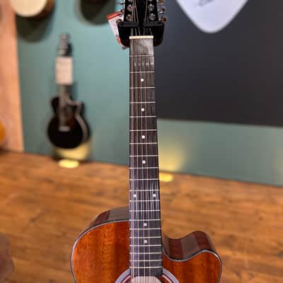 Brunswick BTK5012M Electro-Acoustic (12-STRING) Guitar image 7