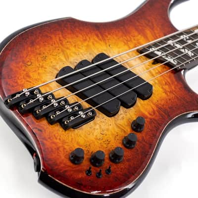 DINGWALL Z3 Cello Hip 5st w/ Burl Maple Top, Roasted Ash Neck, Ziricote Fingerboard/ 2022 NAMM Model image 7