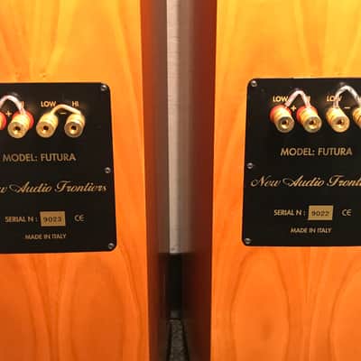 New Audio Frontiers Futura Tower Speakers image 10