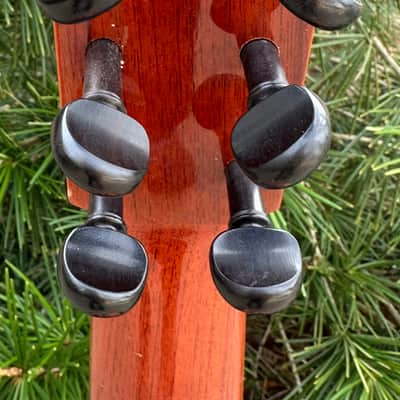 Early Augustino Flamenco Guitar with Pegs w/HSC image 9