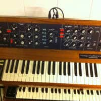 Happy Nerding 4X Mute | Reverb