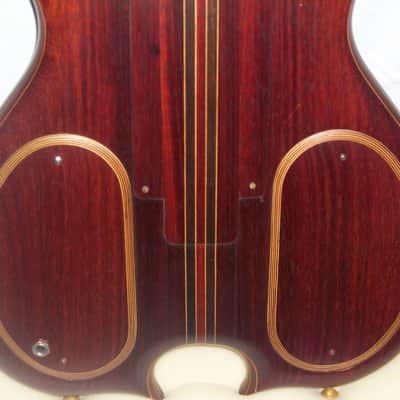 The Joker.THE Guitar! image 14