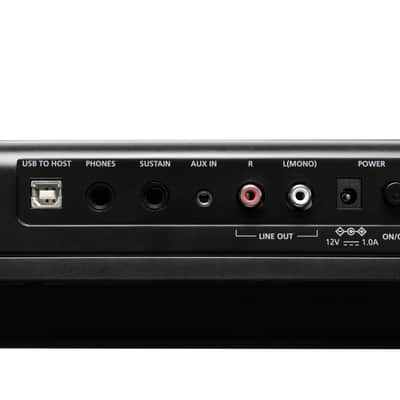 Kurzweil KAS1 Black image 7
