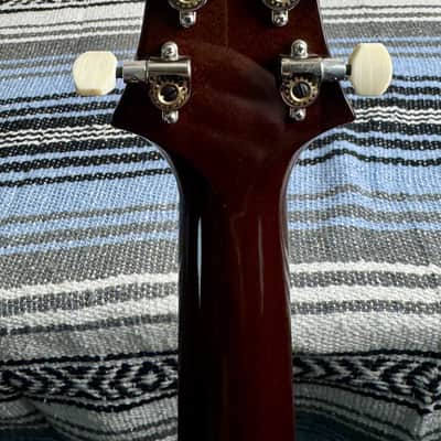 Prewoned PRS DGT image 11