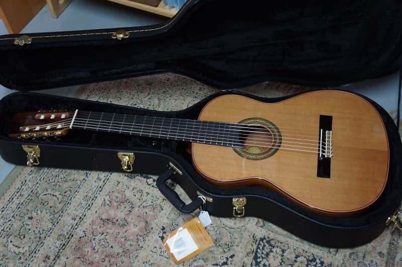 Giannini Asturias 7 String Classical Guitar with - Handcrafted in Brazil - GNC4/7 image 1