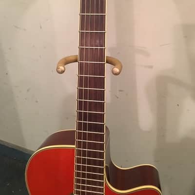 Ibanez AEG10NE image 3