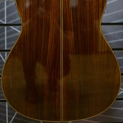 Cordoba Fusion 12 Rosewood Electro Classical Nylon Guitar image 2