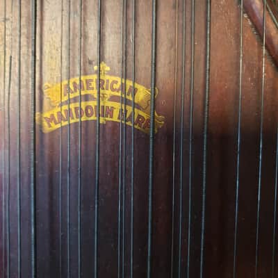 Vintage US Guitar Zither Co. Oscar Schmidt  American Mandolin Harp Early 1900s - natural image 2