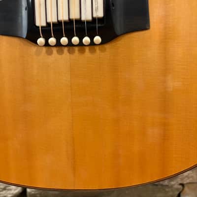 Linda Manzer Sitar Acoustic 1997 w/ Hardshell Case image 5