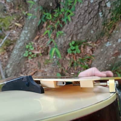 Gibson A-3 Mandolin image 5