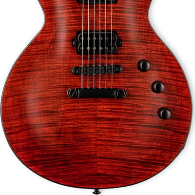 ESP LTD EC-1001 Electric Guitar, Ebony Fingerboard, Tiger Eye image 1