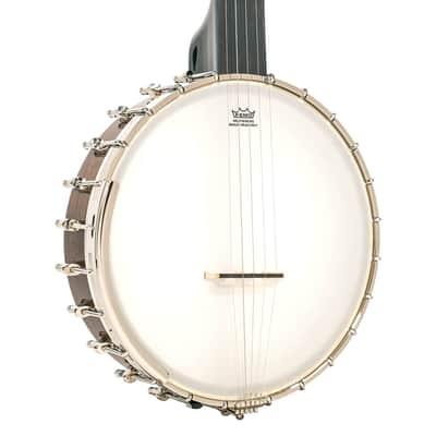 Gold Tone 5-String Open Back Banjo w/ Gig Bag image 2