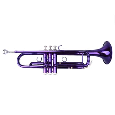 Cxxss Brass B Flat Trumpet Violet image 15