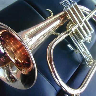 Berkeleywind Bb Rose Brass Flugelhorn ( Vertical Valves ) image 1