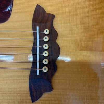 Washburn D48 SW Acoustic image 12
