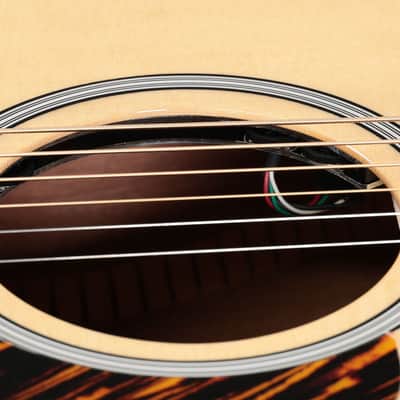 Taylor 314ce Next Generation Taylor Action Control Neck Claria Pickup System [1210215012] (05/27) image 5